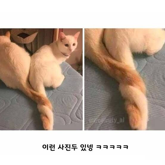 그.. 그치만 꼬.. 꼬.._1.jpg