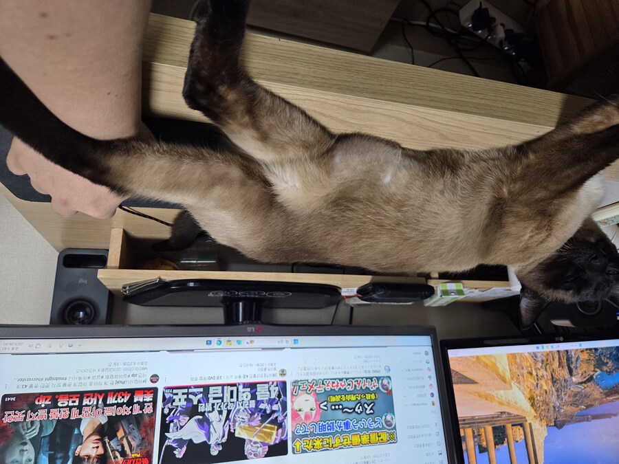 여기 뱃살 사진 올리면 반응 좋다고 해서 올려요_6.jpg