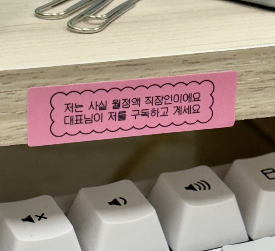 직장인들 특_1.jpg