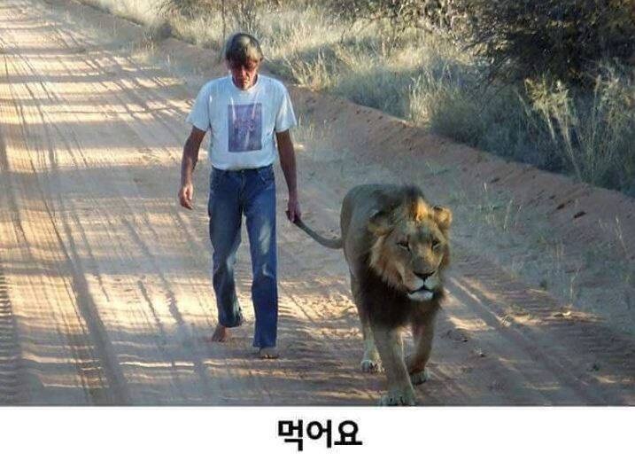 우리 애는 안물어요.jpg_1.jpg