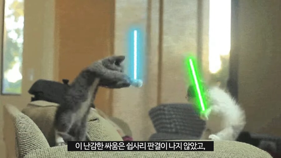 파평 윤씨와 청송 심씨가 400년간 싸운 이유.jpg_18.png