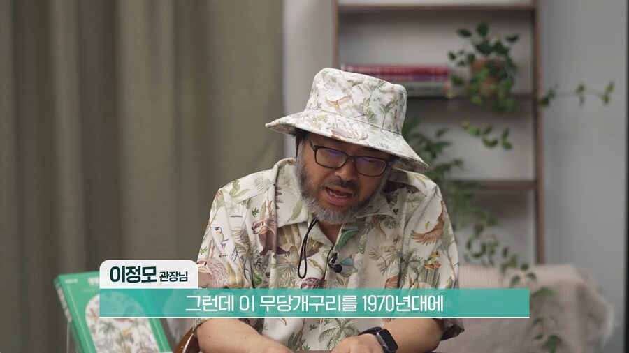 전 세계 개구리를 학살한 K-개구리_4.png