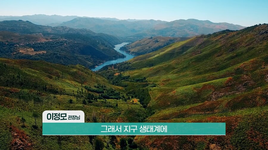 전 세계 개구리를 학살한 K-개구리_23.png