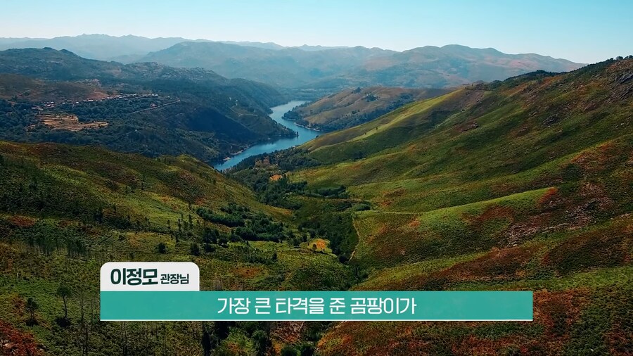 전 세계 개구리를 학살한 K-개구리_24.png