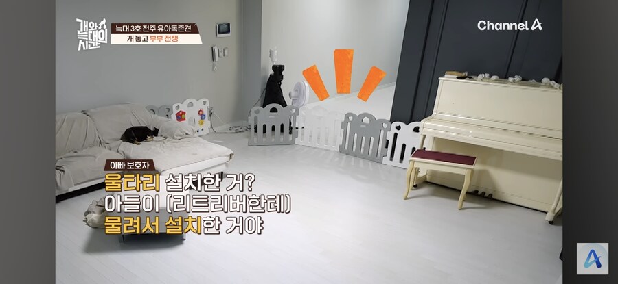 아들이 개한테 물렸음.jpg_5.jpg