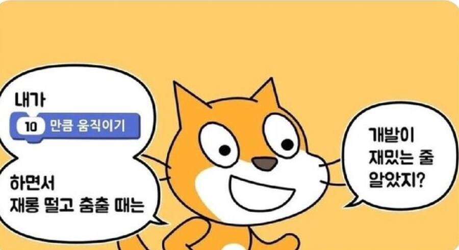 개발자들의 인생을 파멸시킨 고양이.jpg_1.png