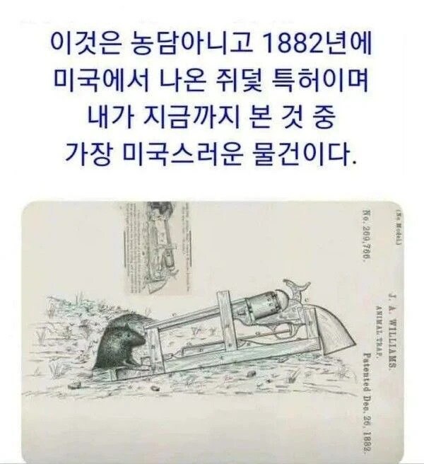 가장 미국스러운 물건_1.png