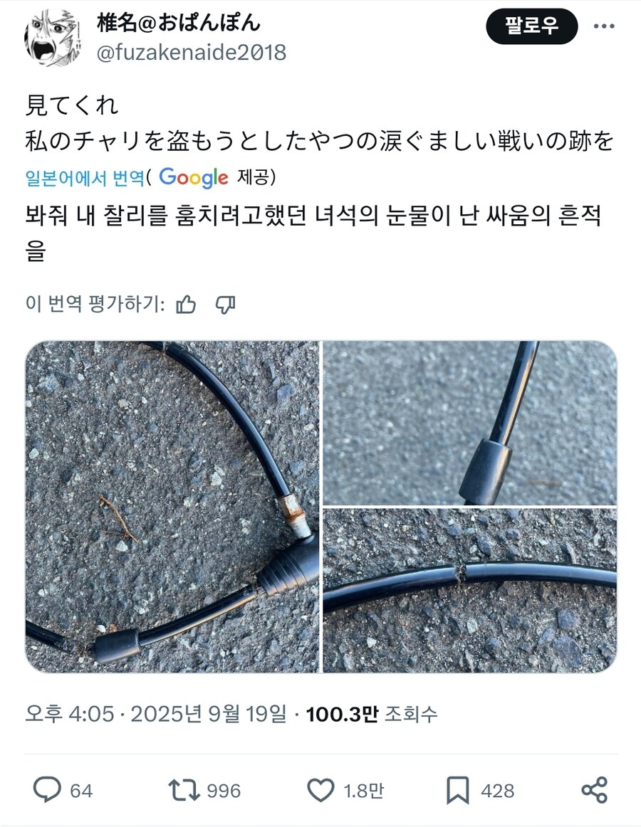 자전거 절도에 실패한 도둑_1.jpg