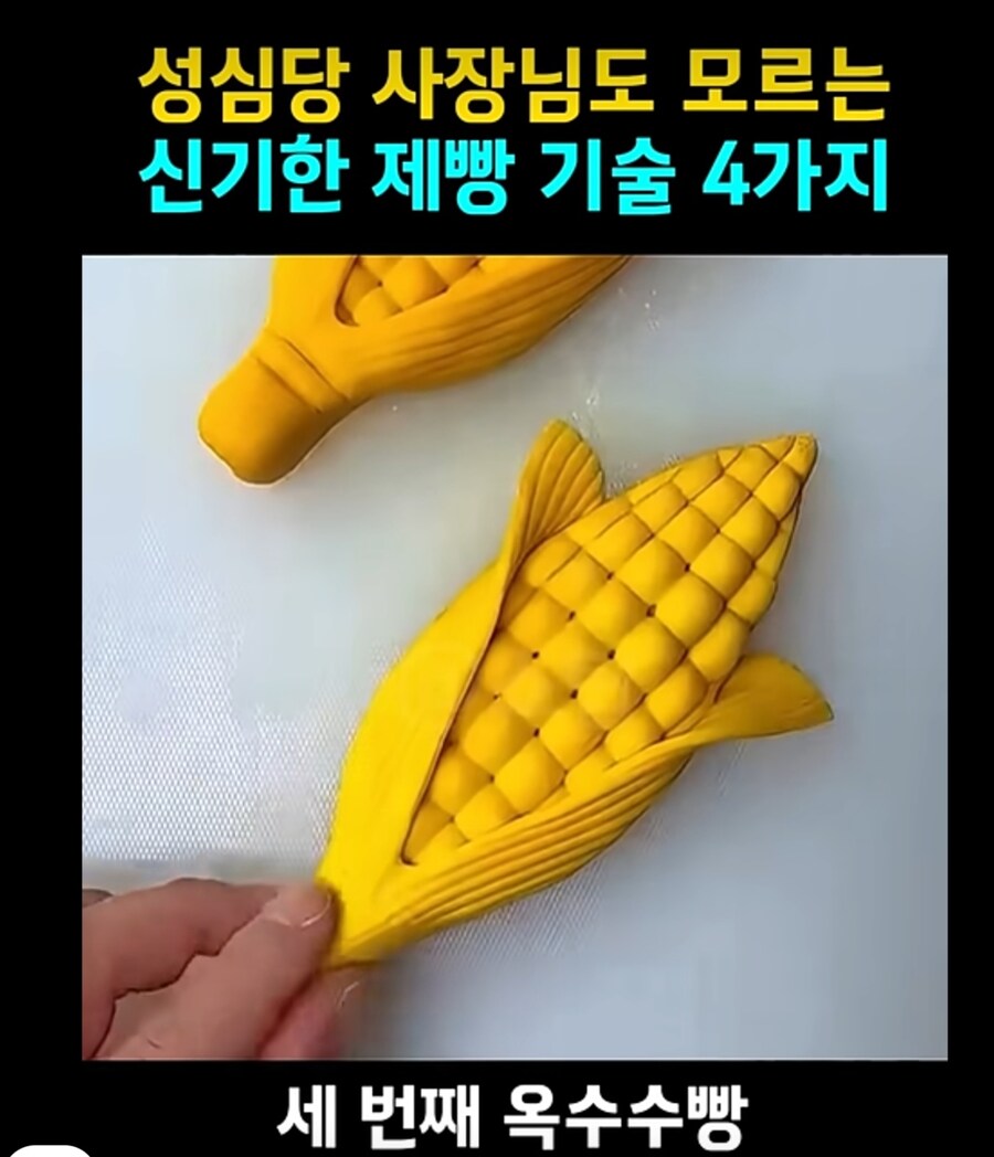 제빵 명장들도 모르는 쩌는 제빵기술.JPG_5.jpg
