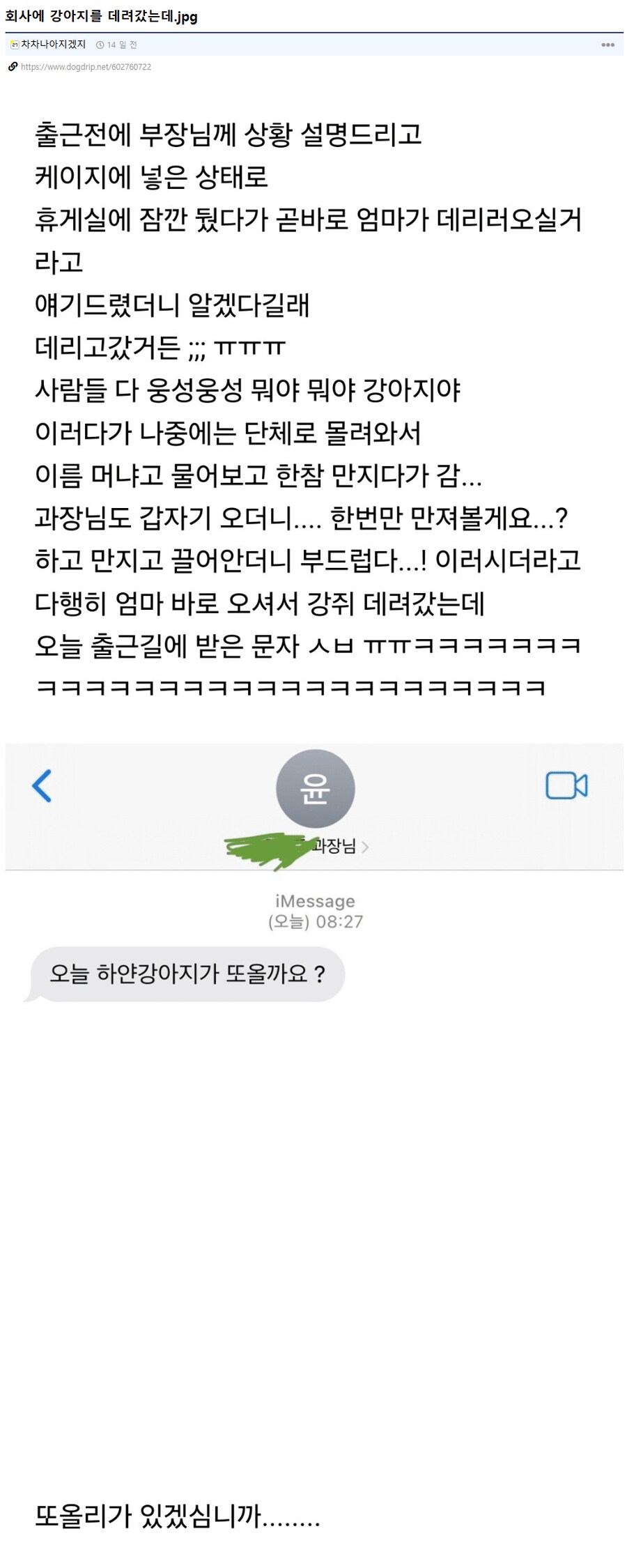 회사에 강아지 데려갔는데_2.png