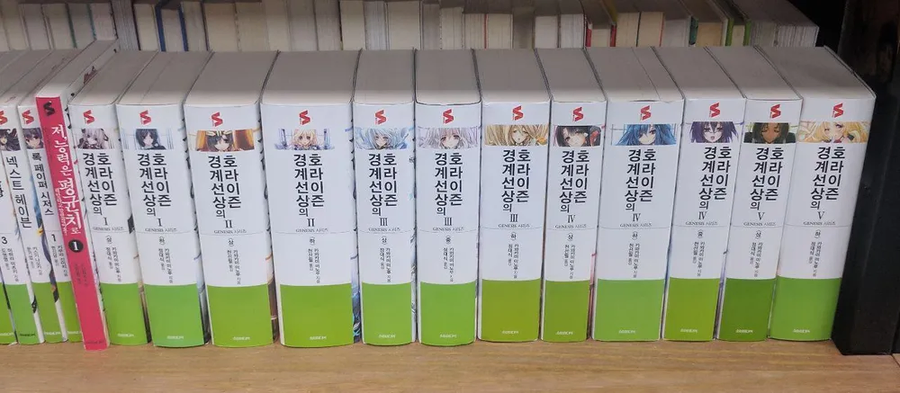 원작 완결 이후 몇년이 지났지만 아직도 완결까지 정발 안된 라노벨_1.webp
