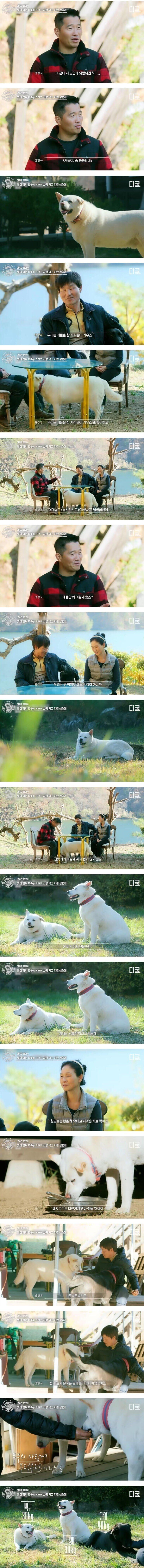 사랑으로 키운 진돗개_1.jpg
