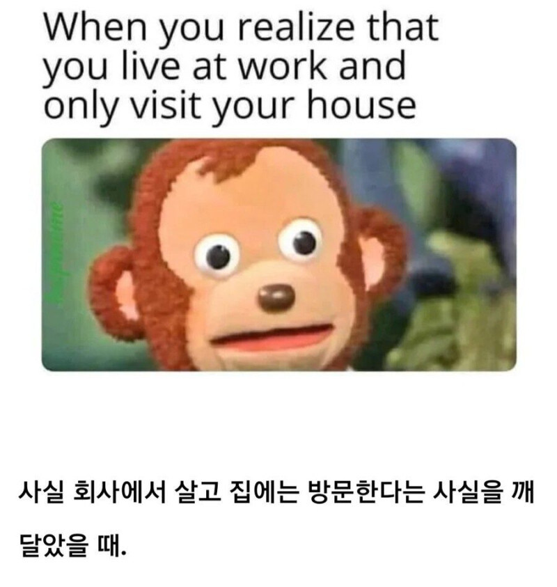 직장인의 외면하는 사실_1.jpg