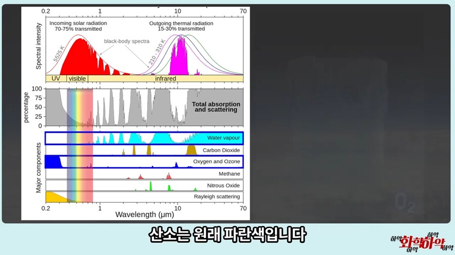 물이 파란 이유.jpg_14.png