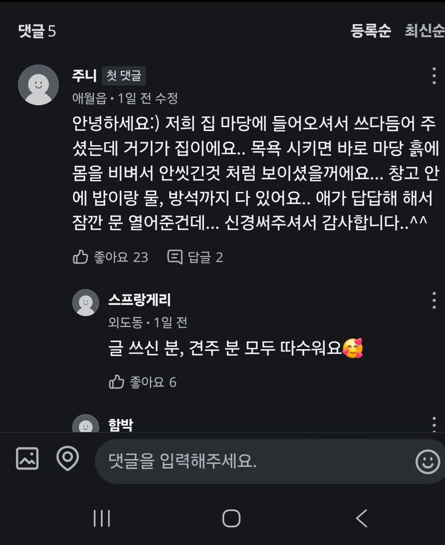 누가 리트리버를 길에 버리고 갔어요_3.webp