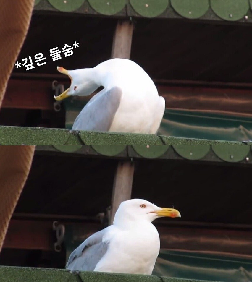 귀멸의 칼날에 흥미를 못느끼는 세대_9.jpg