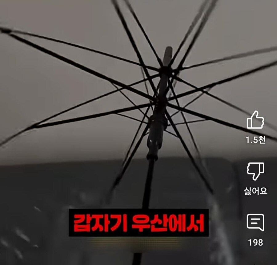 달달하다는 한국 우산녀.jpg_14.jpg