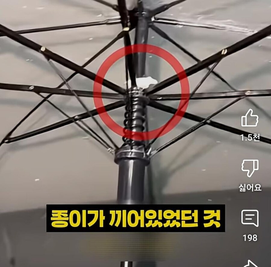 달달하다는 한국 우산녀.jpg_18.jpg