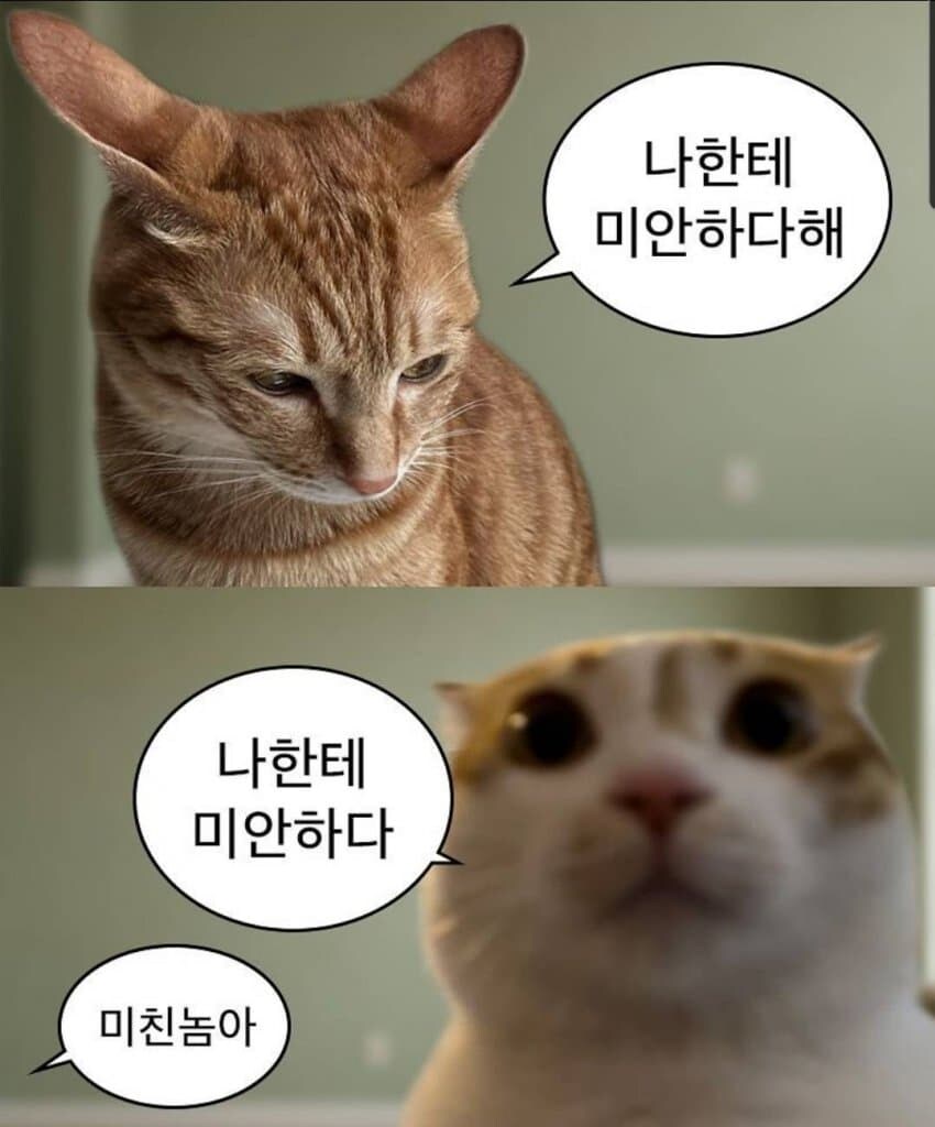 나한테 미안하다 해.jpg_1.jpg