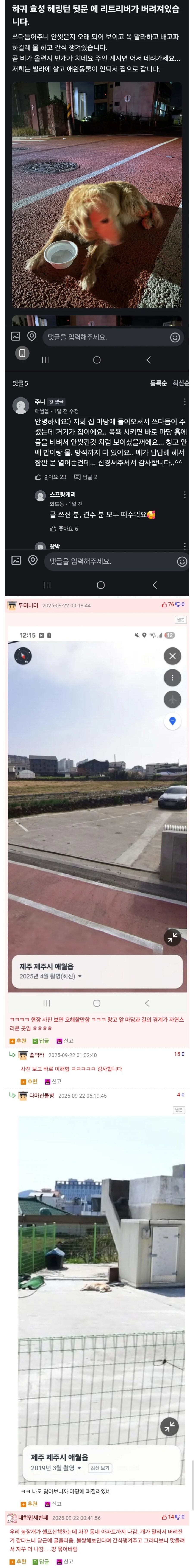 버려진 리트리버를 케어 해준 사람_1.jpg