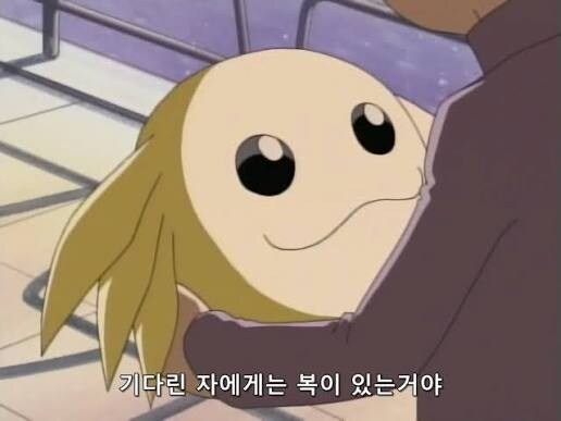 디지몬)탐스 일주일 남았다고?_1.jpg