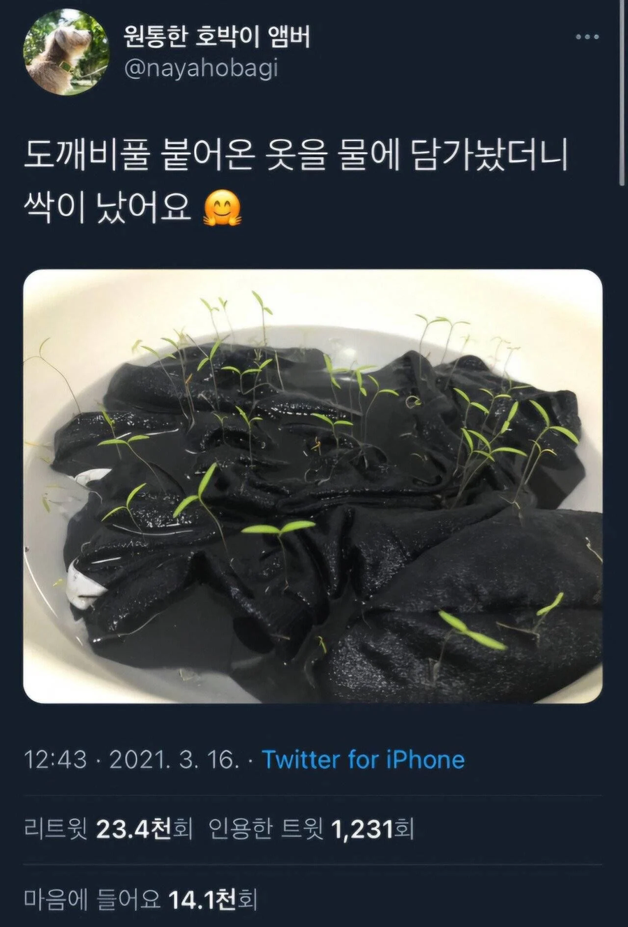 강아지 옷 빨려고 물에 담궈났더니.jpg_1.webp