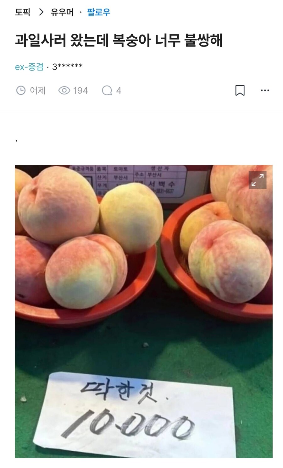 과일사러 왔는데 복숭아 너무 불쌍해_1.jpg