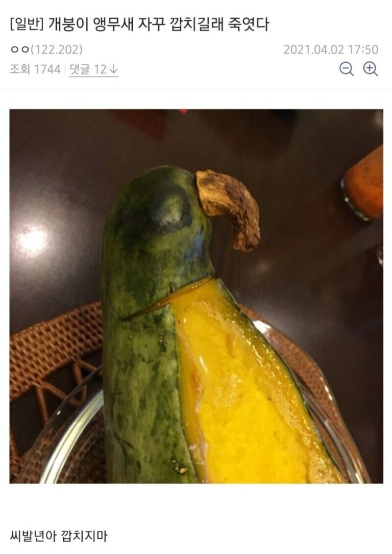 앵무새를 무참하게도 끔찍하게.._1.jpg