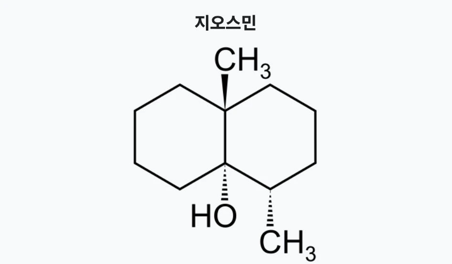 인간이 유독
