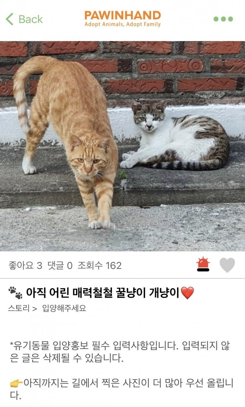 아빠이자 오빠이자 남편입니다_1.jpg
