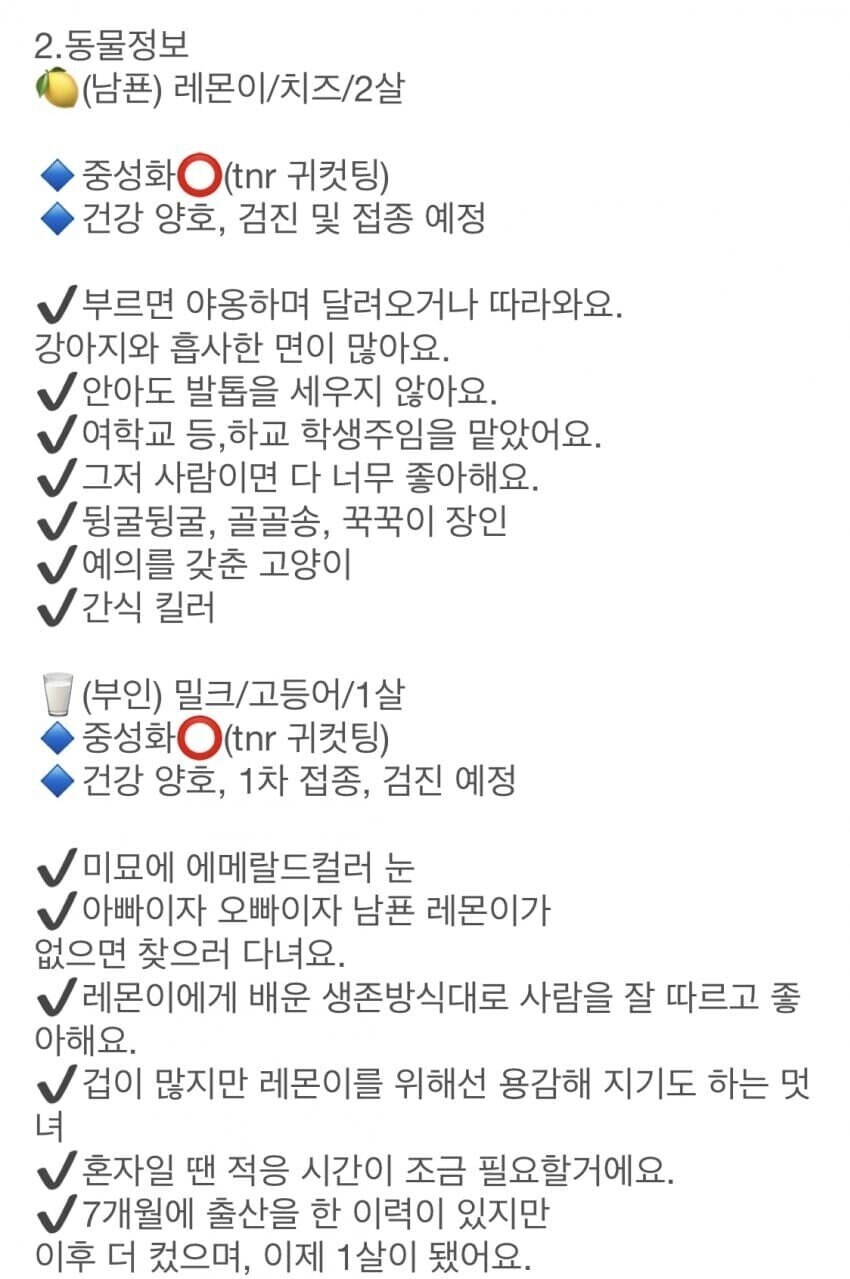아빠이자 오빠이자 남편입니다_2.jpg