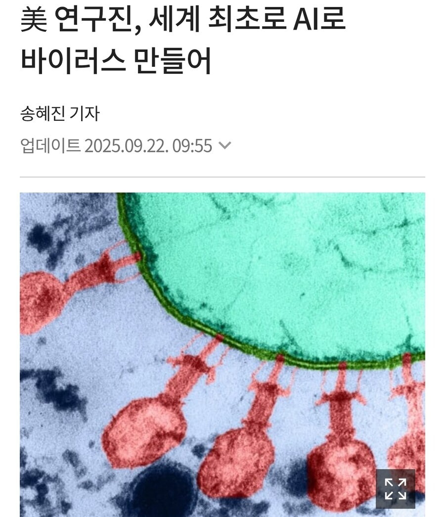 ai로 할수 있는것_1.jpg