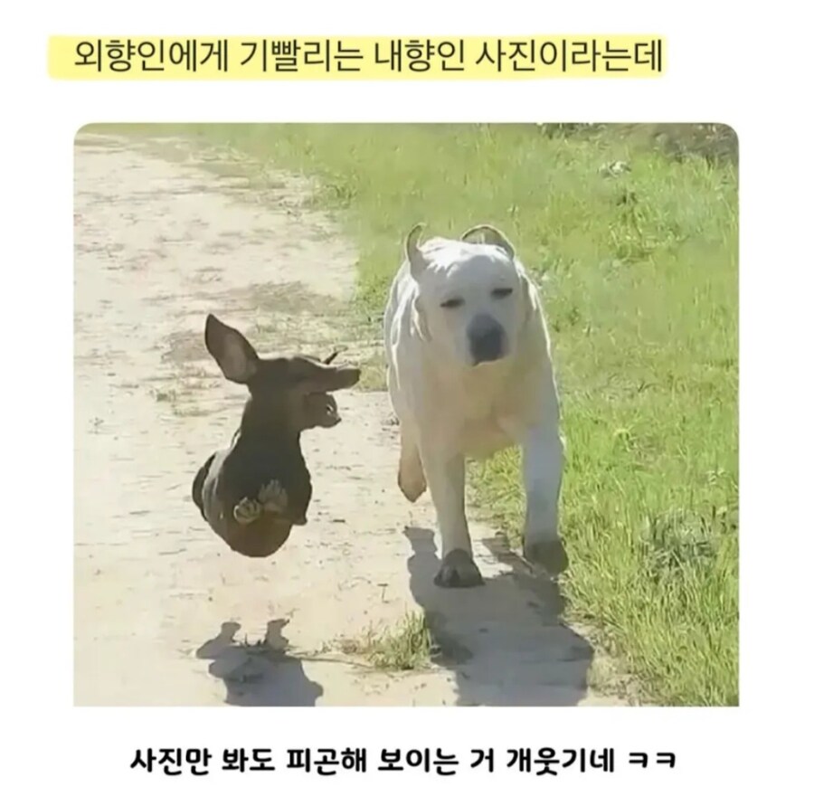 MBTI) E랑 외출한 I 모습_1.jpg