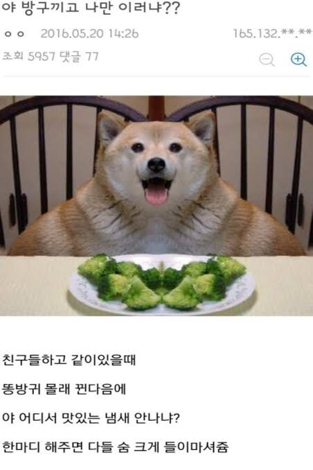 방구 뀌고 나만 이러냐? ㅋㅋㅋ_1.jpg
