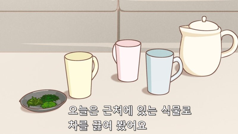 길거리에서 쉽게 구할수 있는 건강에 좋은 식물_2.jpg