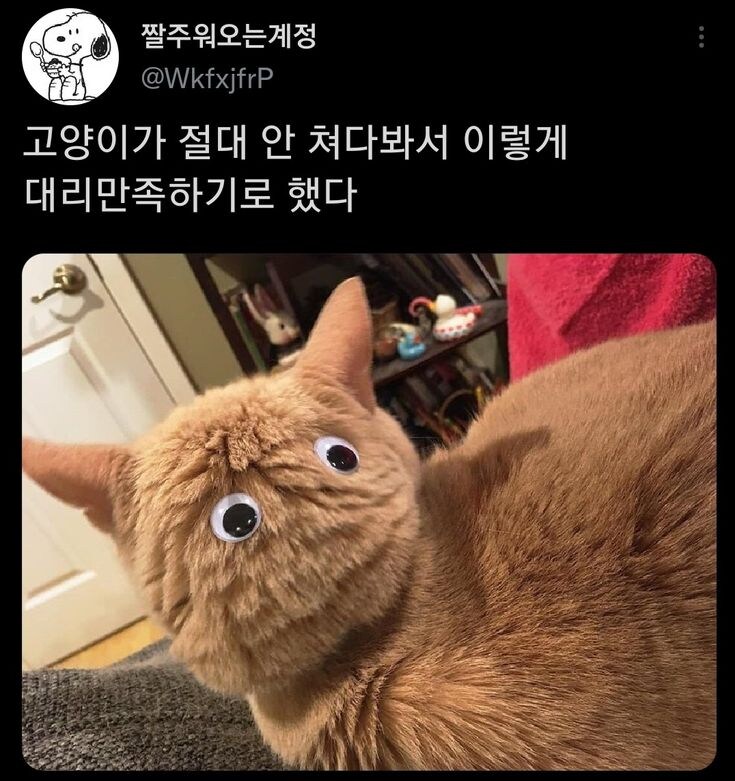 고양이가 절댜안봐주는 집사의 선택.jpg_1.jpg