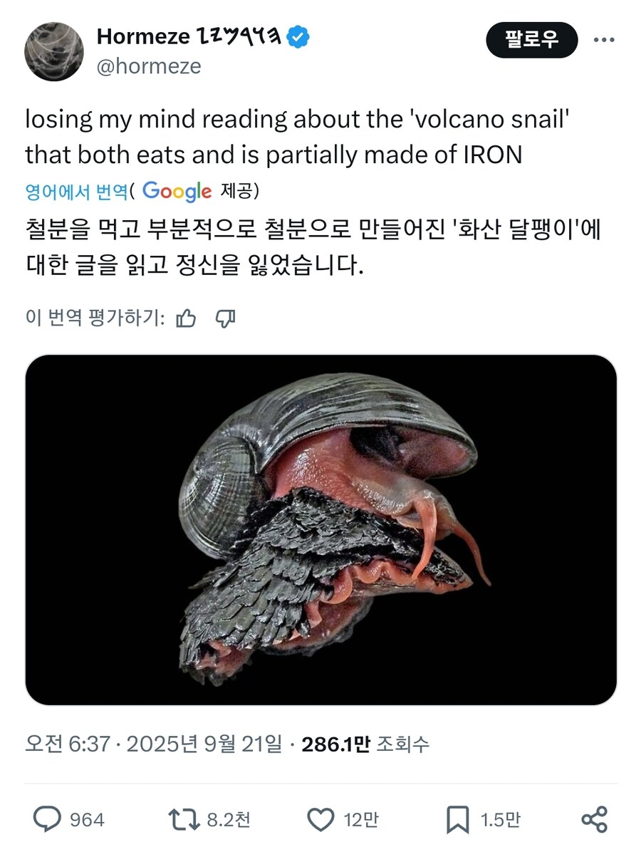 리전폼 달팽이(불꽃/강철 타입)_1.jpg