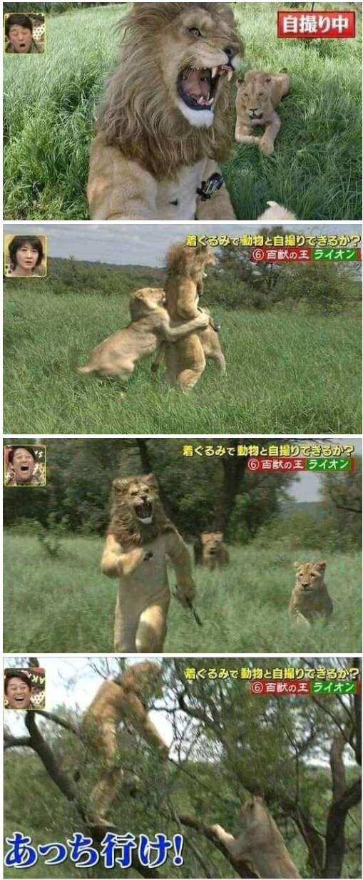 암컷을 유혹하는 법_1.jpg