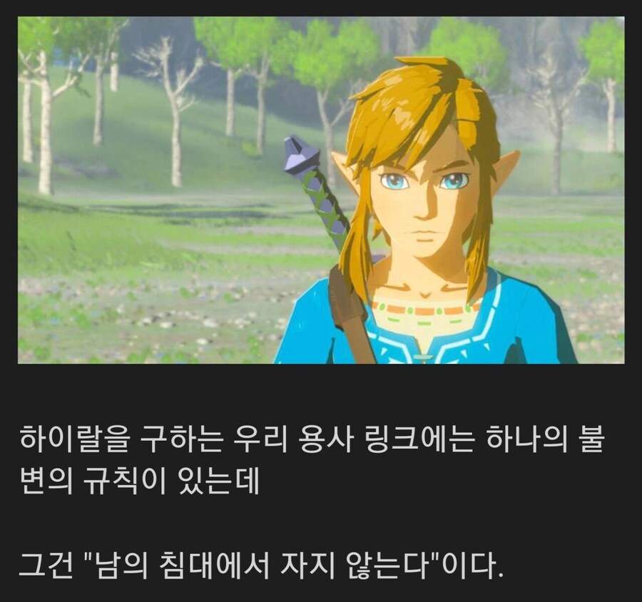 행복회로 돌리는 젤링 지지자들_1.jpg