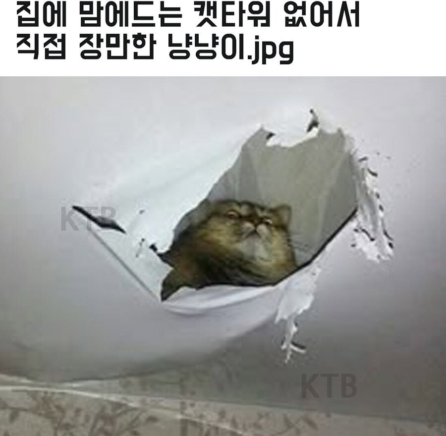 뭐 시1바 니가 어쩔껀데_1.jpg