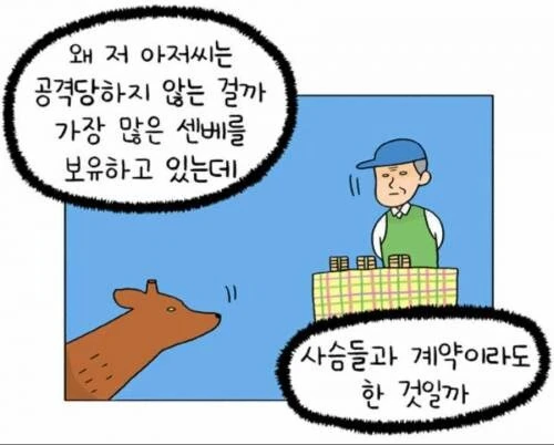 일본 나라 사슴공원을 방문한 관광객들이 가지는 의문_1.webp