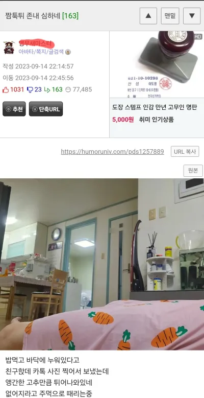 짬툭튀 존나 심하네.JPG_1.webp