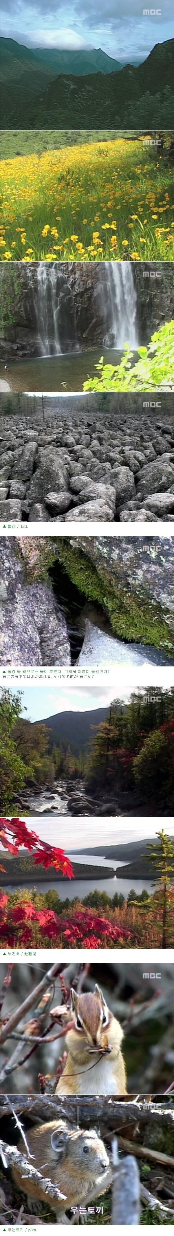 한반도에서 호랑이가 남아있을법한 유일한 장소_3.jpg