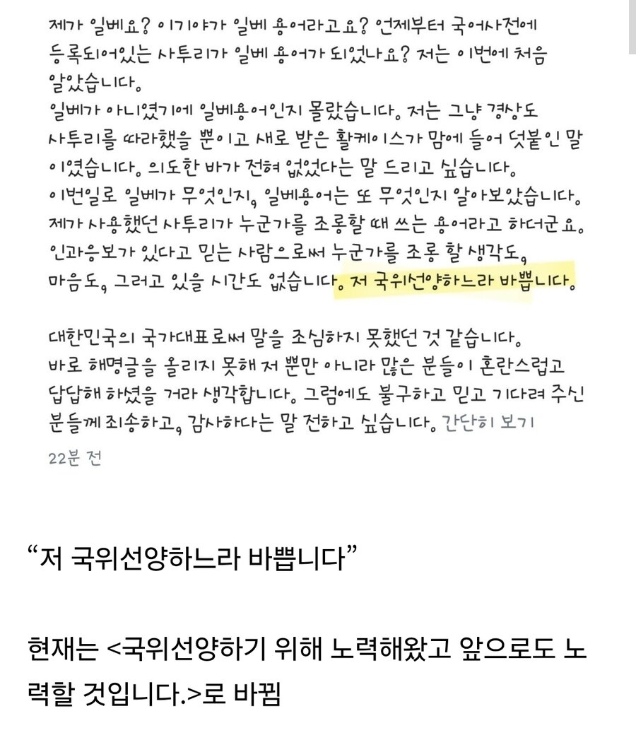 양궁선수 임시현 인스타 수정전 입장문.._1.jpg