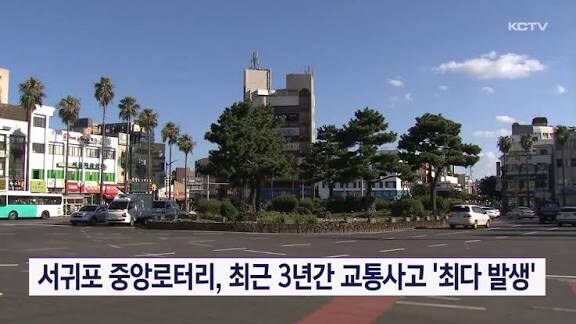 제주도에 있는 혼종 도로_3.jpg