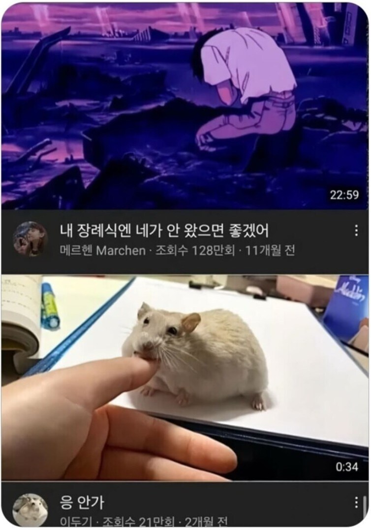 유튜브 이거 일부러 이러는 거임_1.png
