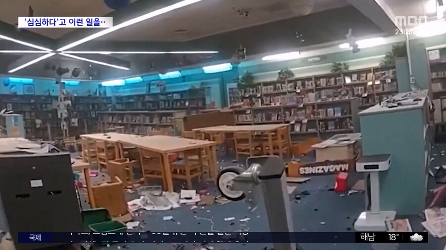 미국잼민: 분서갱유! 책은 나쁜 문화! 미국을 다시 위대하게!_1.jpg