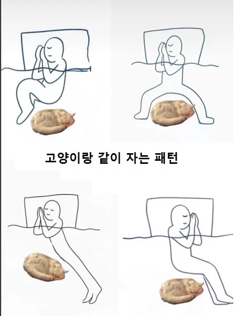 고양이랑 같이 자는 패턴_1.png