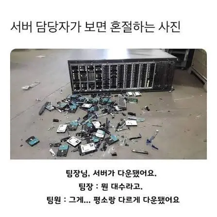 팀장님, 서버가 다운됐습니다.jpg_1.webp