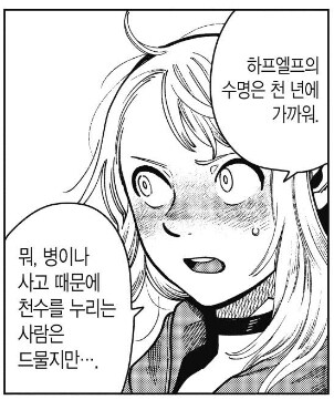혼혈 엘프의 슬픔_2.jpg